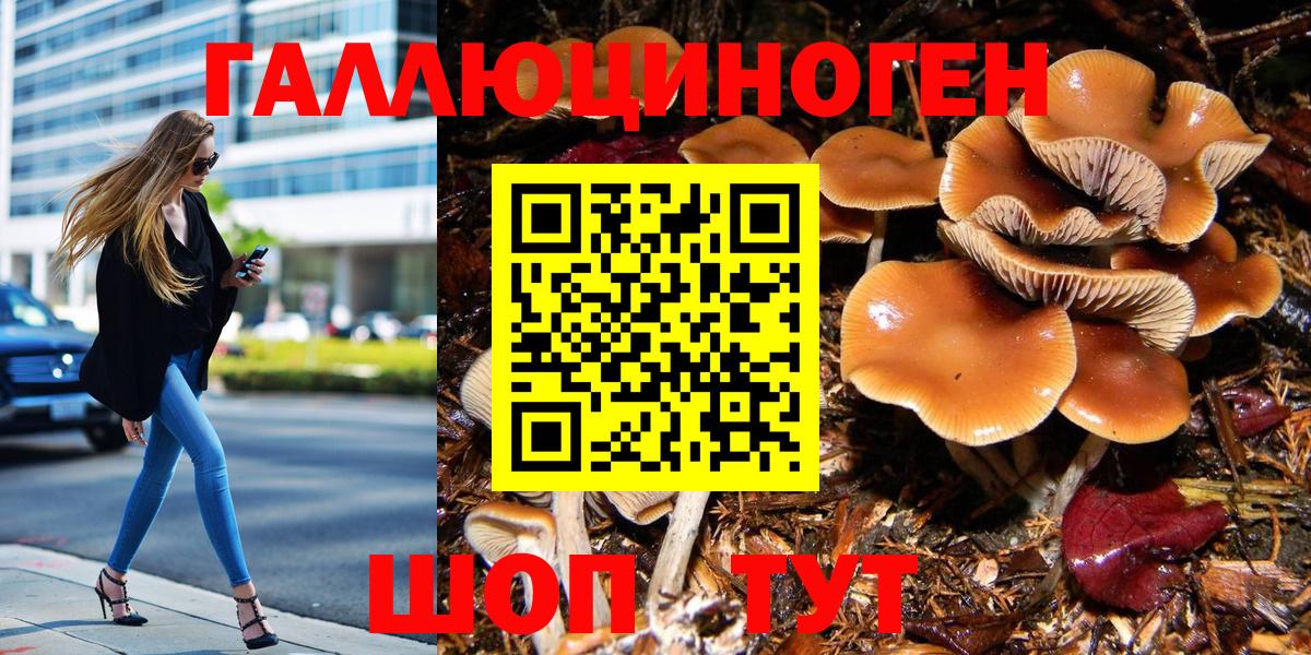 Медногорск  наркотики  Вход с VPN  Галлюциногенные грибы MAGIC MUSHROOMS 
