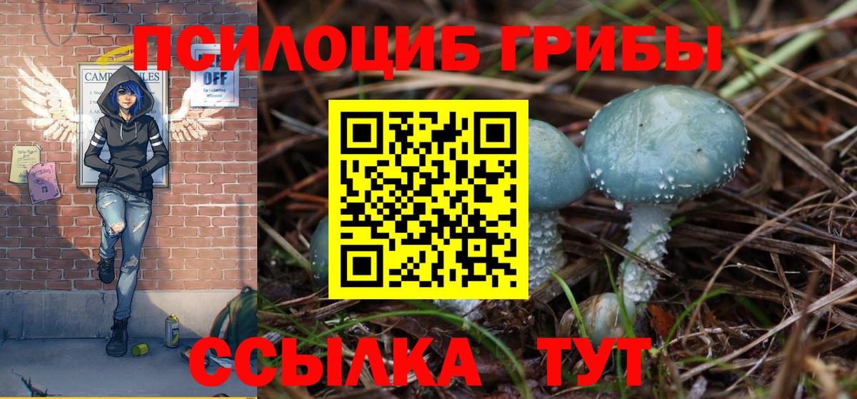 Галлюциногенные грибы MAGIC MUSHROOMS Медногорск